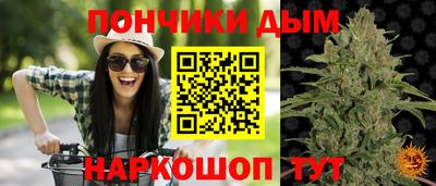 крисы Донской