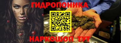 крисы Донской