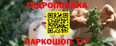 крисы Донской