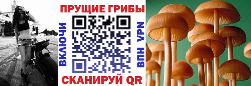 Псилоцибиновые грибы мицелий  МЕГА маркетплейс  Ржев 
