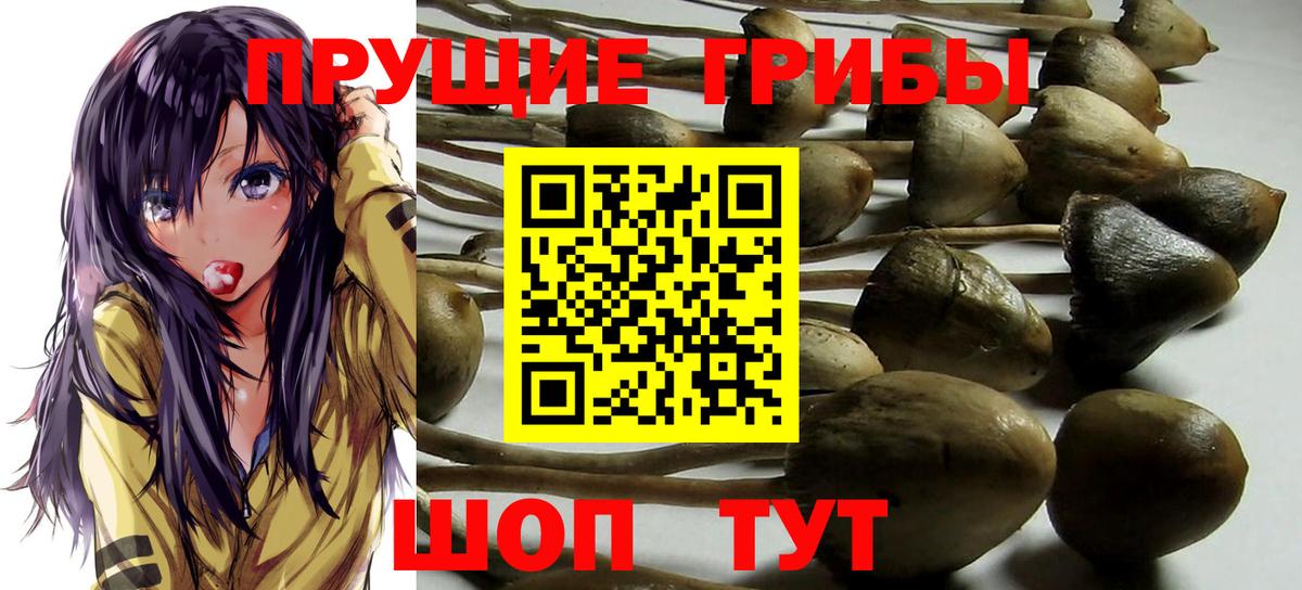 Галлюциногенные грибы Psilocybine cubensis  Вход с VPN  Ржев 